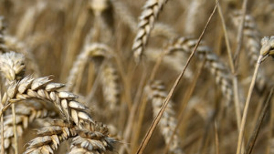 520 poljoprivrednika iz Đakovštine za kolovoz najavilo prosvjede