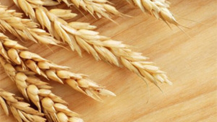 Izvozne carine na pšenicu, kukuruz i šećernu repu