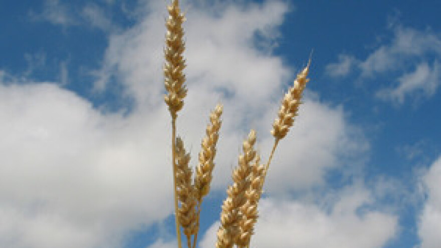 Hrvatski poljoprivrednici prepušteni sami sebi, Francuzima na usluzi brokeri