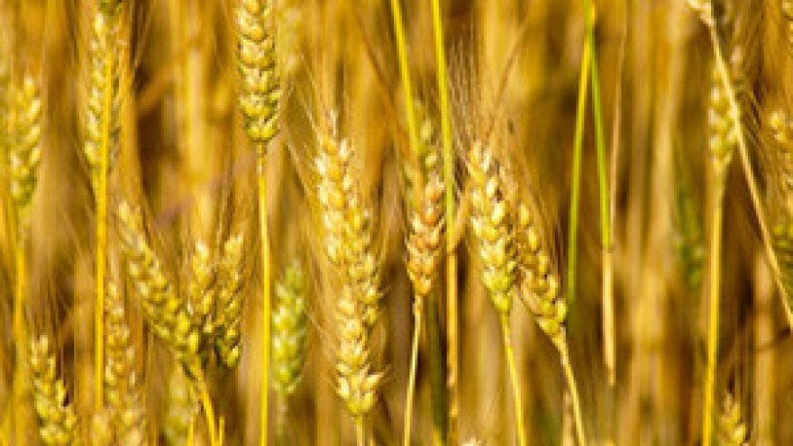 Čobanković najavio razgovor s bankama oko Đakovštine