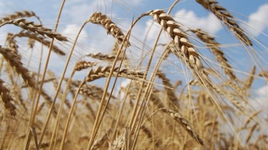 Najavljen prosvjed protiv otkupljivača