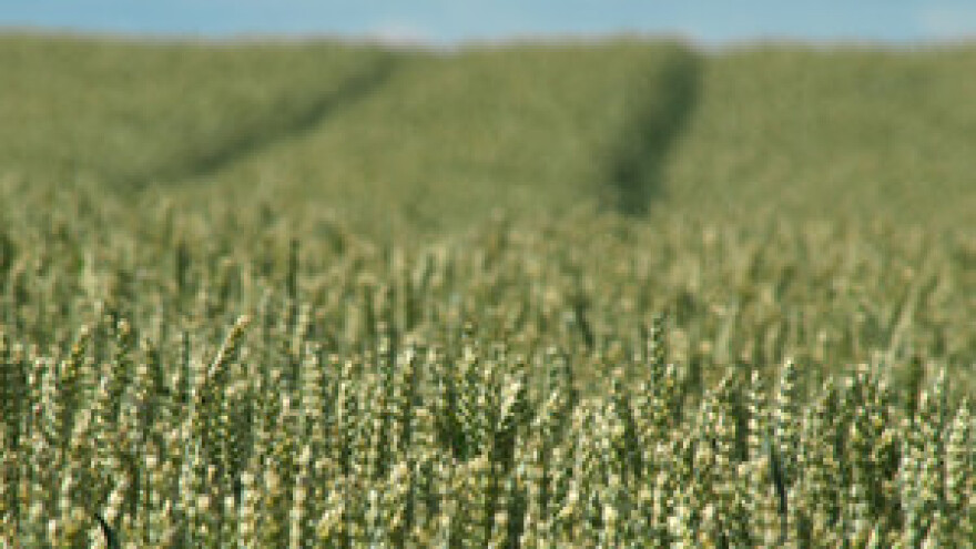 Natječaj za zemlju u Jakovininoj ladici od zimus
