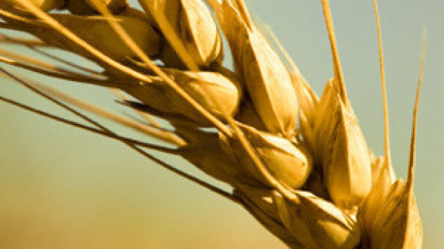 Počelo suđenje za krađu robnih zaliha