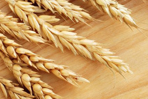 Herbaflex herbicid za suzbijanje korova u žitaricama