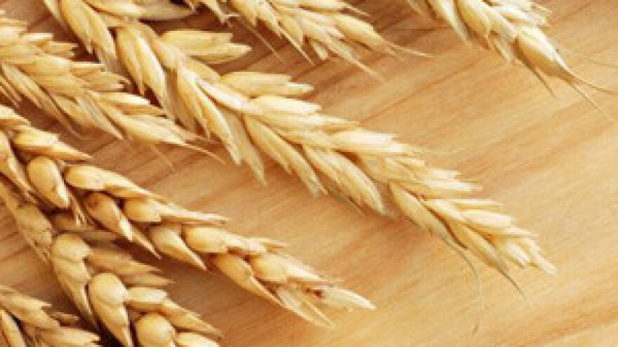 Herbaflex herbicid za suzbijanje korova u žitaricama