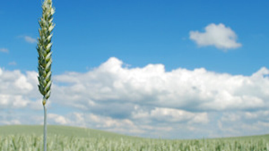 Albanski konzul: Zanima nas uvoz hrane iz Slavonije