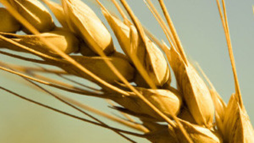 Propast će prvo stočari, a onda i ratari