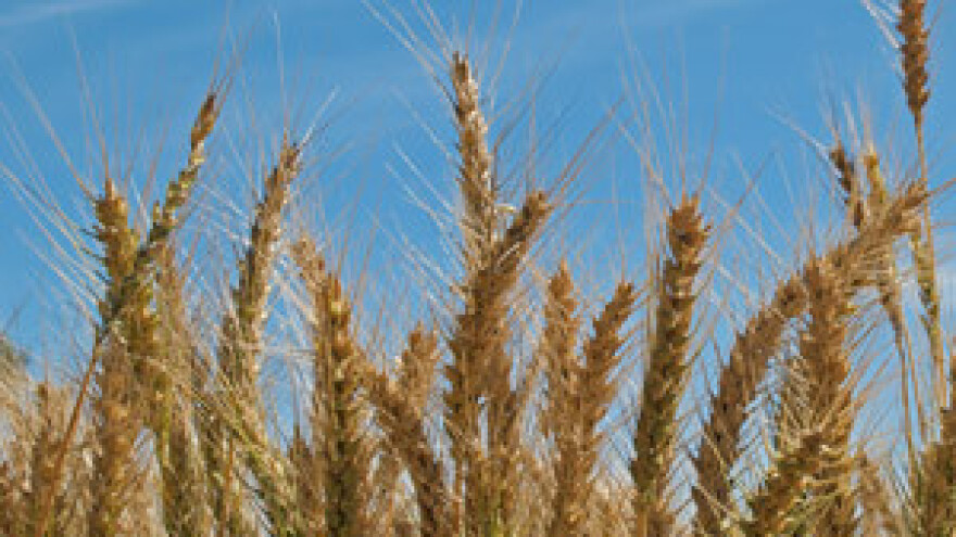 Uigrani tim sa zaposlenicima recept je uspjeha