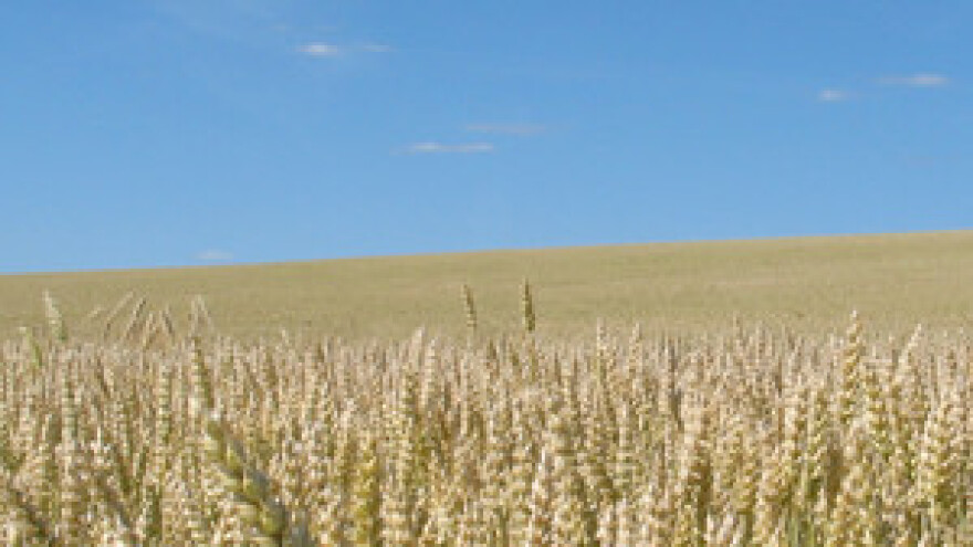 Zakon o poljoprivrednom zemljištu i dalje na čekanju