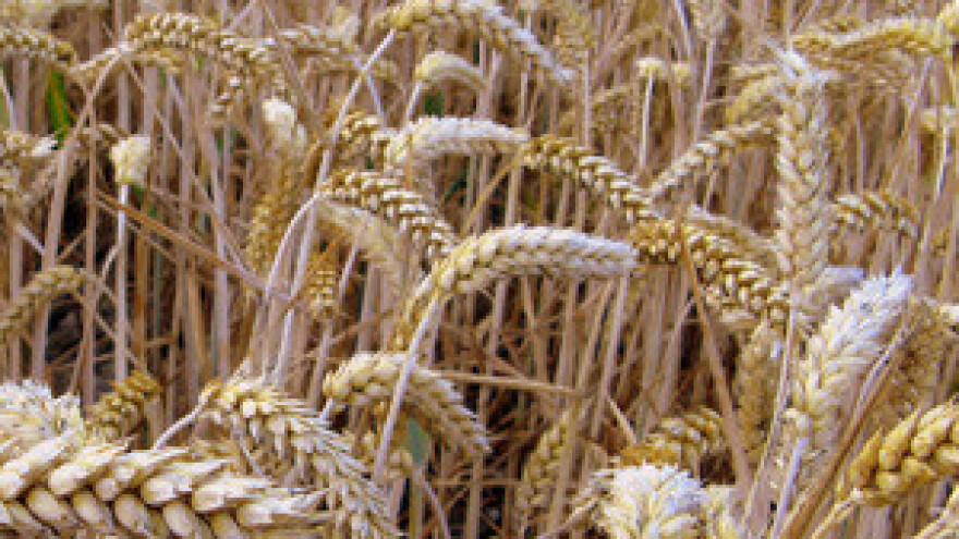 Kako je Tihomir Jakovina prodao blokiranu tvrtku u dugovima za čak 400.000 kn?