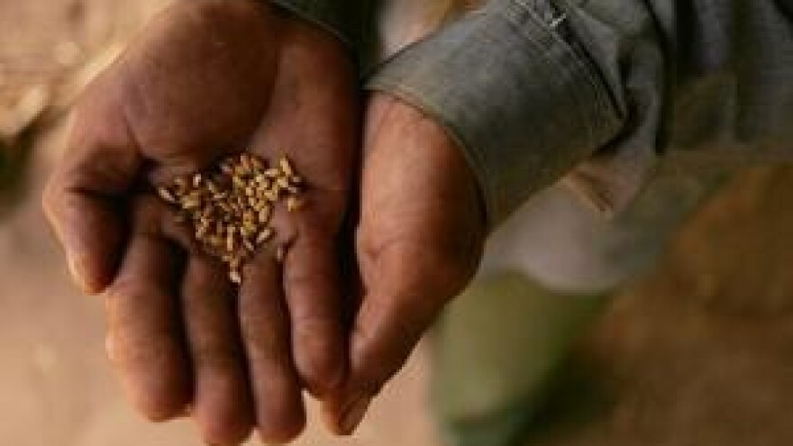 Tko doista kontrolira proizvodnju hrane