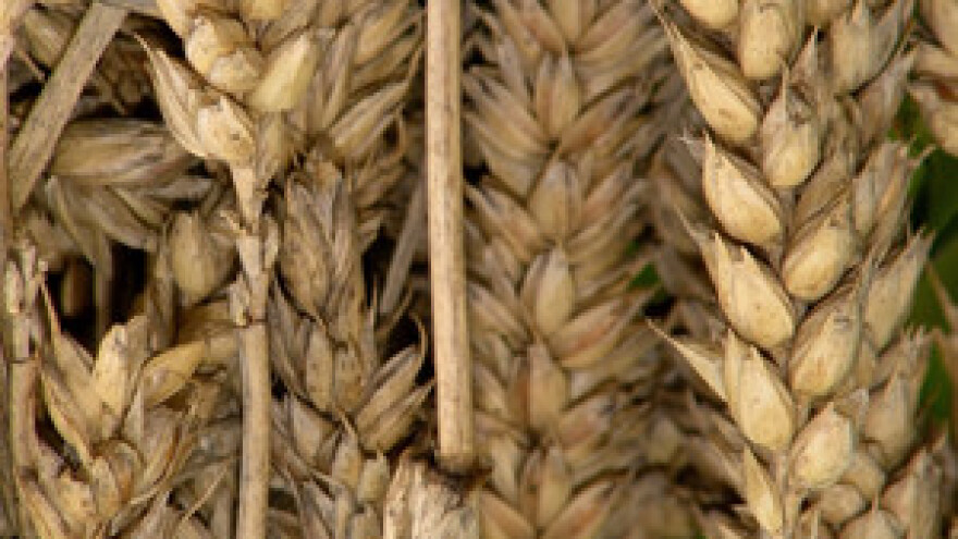 Rasprava o cijenama namirnica ne jenjava