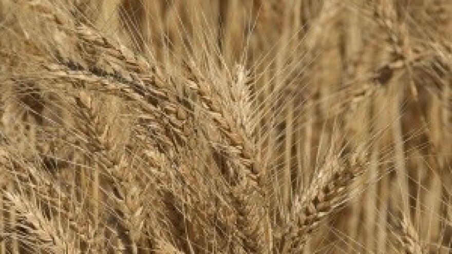 Bruxelles ne voli zabrane, zakup spas za dio oranica