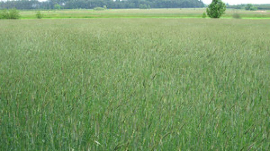 Gnojidba dušikom prihvatljiva za okoliš