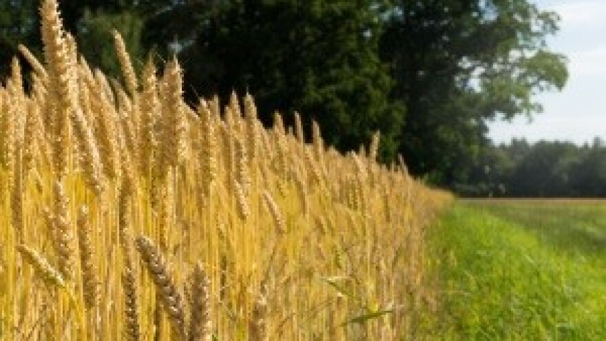 Sutra u Saboru rasprava o novom zakonu o poljoprivrednom zemljištu