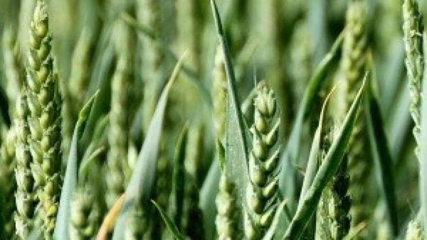 Hoće li biti ranija isplata poticaja?