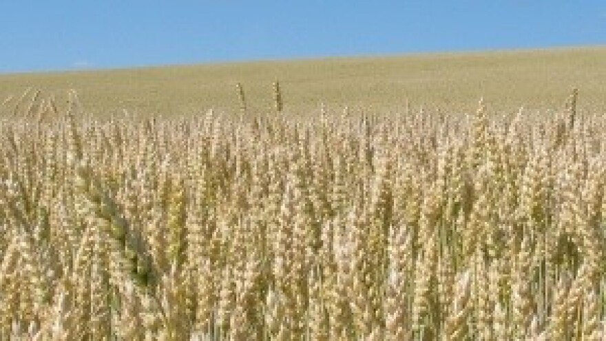 O poljoprivrednim parcelama odlučuje država