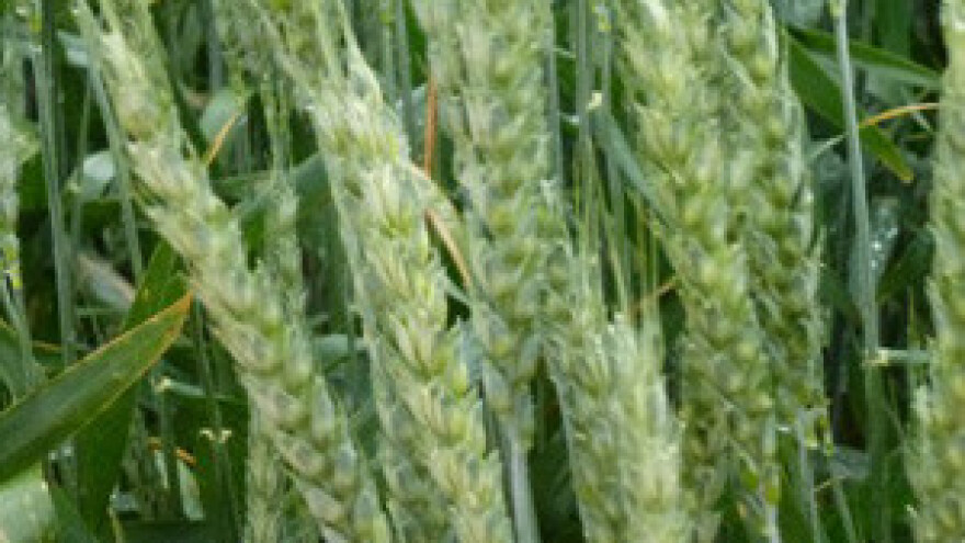 Postoji način kako oživjeti "mrtvi kapital"