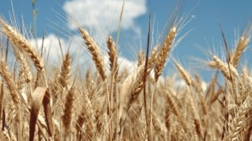 Usvojen prijedlog zakona o poljoprivrednom zemljištu