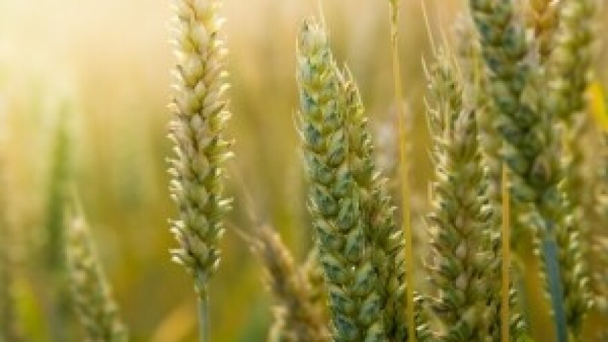 Neću moći do zemlje idućih 50 godina propustim li natječaj