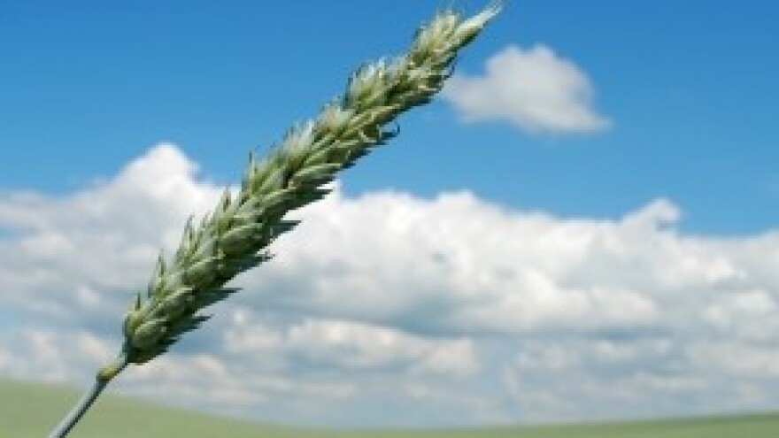 Upute za privremeno korištenje državnog poljoprivrednog zemljišta