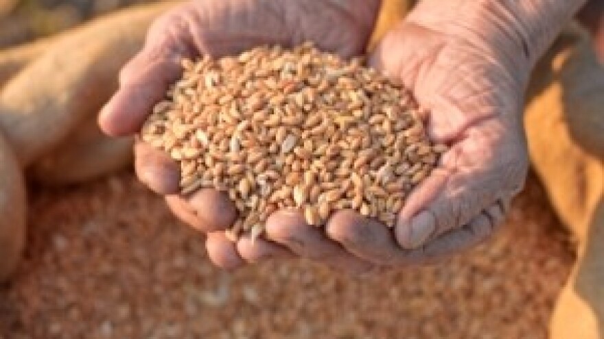 Farmersko sjeme na udaru