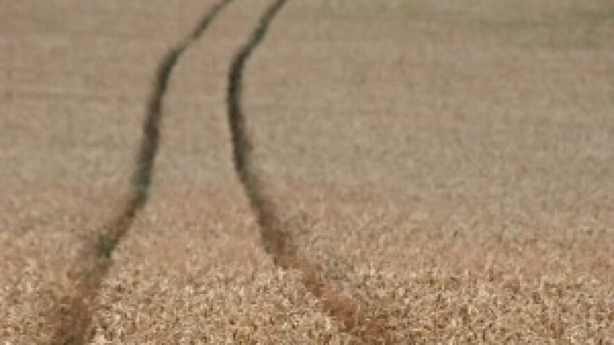 Smanjenje prometa na tržištu žitarica