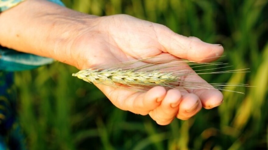 Nova prilika za županjsku Posavinu?