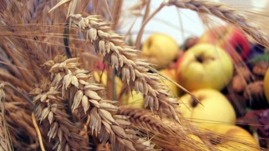 Dio udruga odustaje od prosvjeda