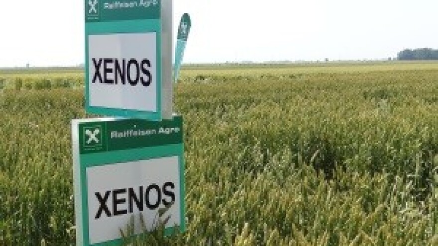 Dan polja ozime pšenice RWA Raiffeisen Agro d.o.o