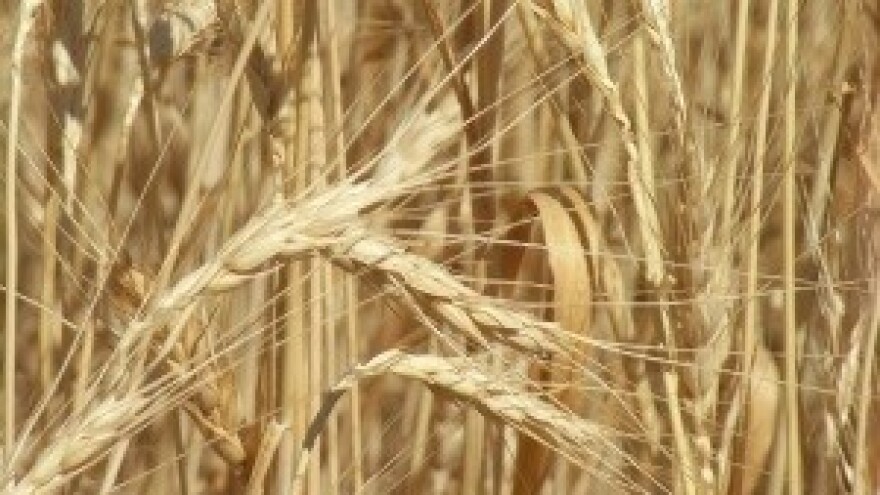 Na pomolu trgovinski rat Makedonije i Srbije