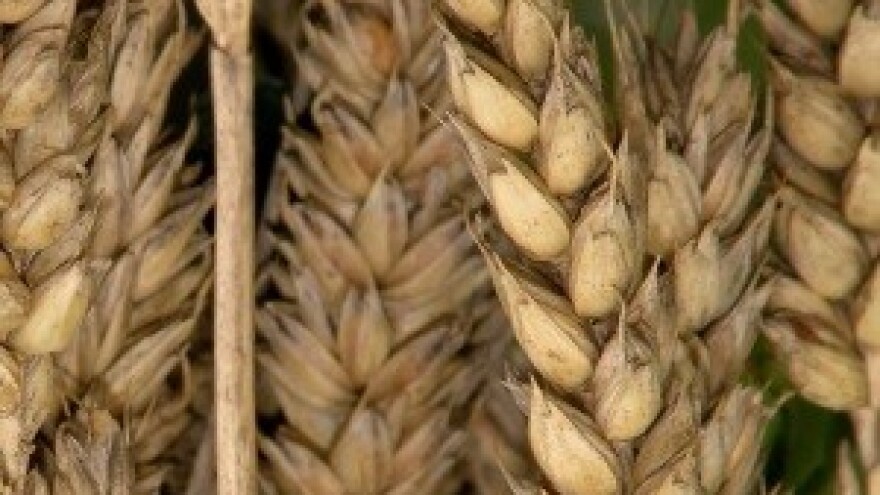 Cijena od 1,05 kn je pljačka!