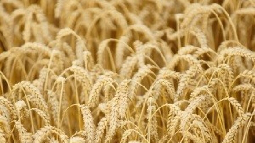 Poljoprivrednici u BiH na rubu egzistencije