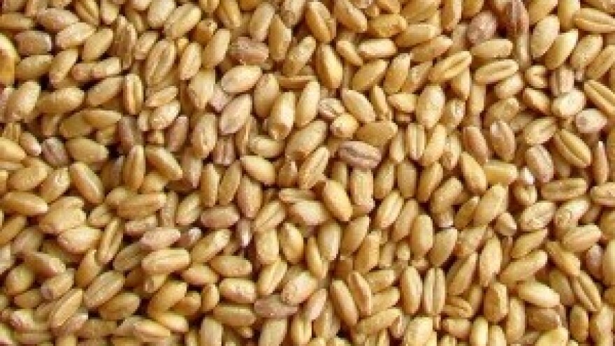 Poljoprivrednici obećavaju: Hrana neće poskupjeti