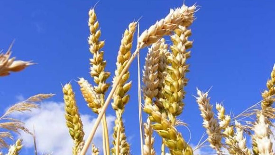 Seljačke udruge prekinule prosvjed