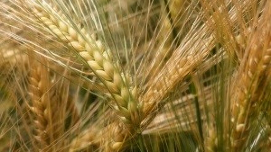 Udruživanje jedini opstanak poljoprivrede