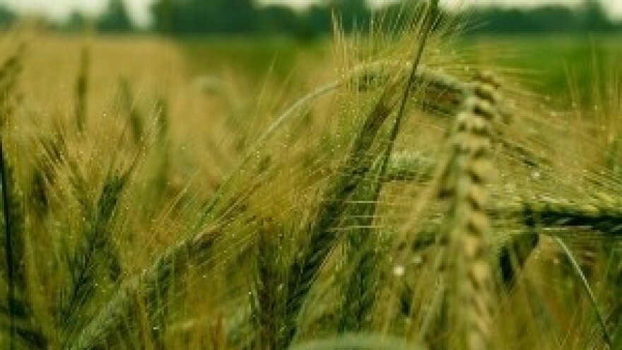 Bayerova zimska predavanja