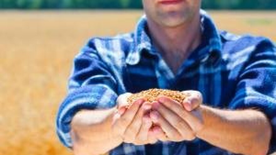 Sretni ratari Općine Viljevo