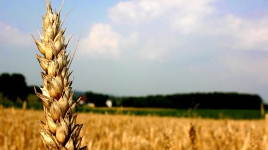 Prosvjedi seljaka su nepotrebni