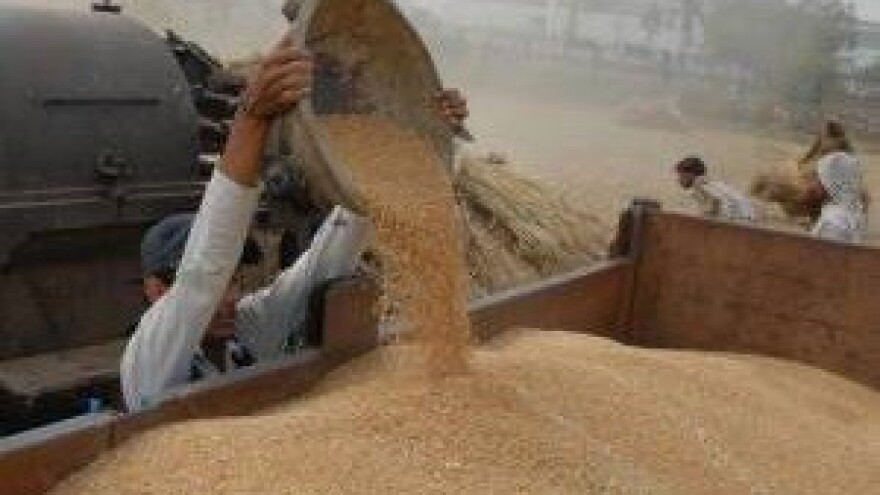 Bliži se rok za podnošenje prijava za mjeru 6.3.