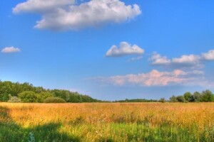 Raskol među seljacima
