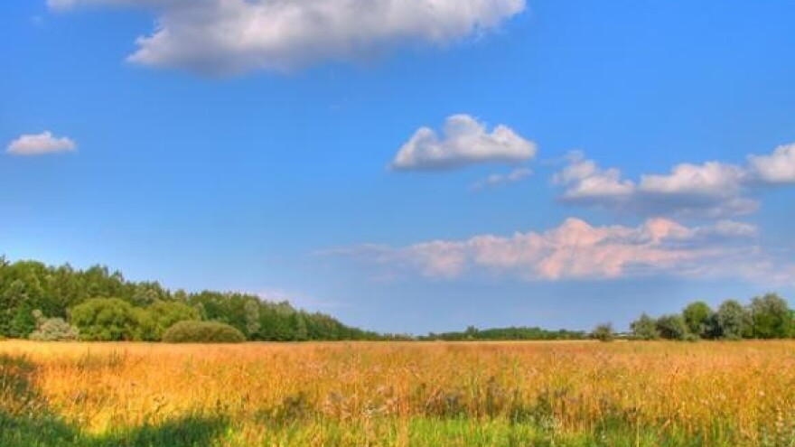 Raskol među seljacima