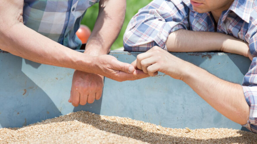 Gotova sezona za EU žitarice - tko je na dobitku?