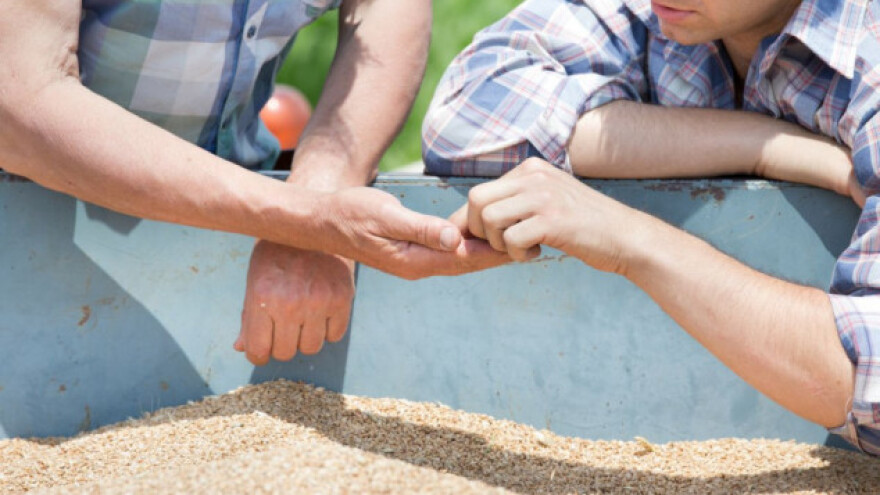 Gotova sezona za EU žitarice - tko je na dobitku?