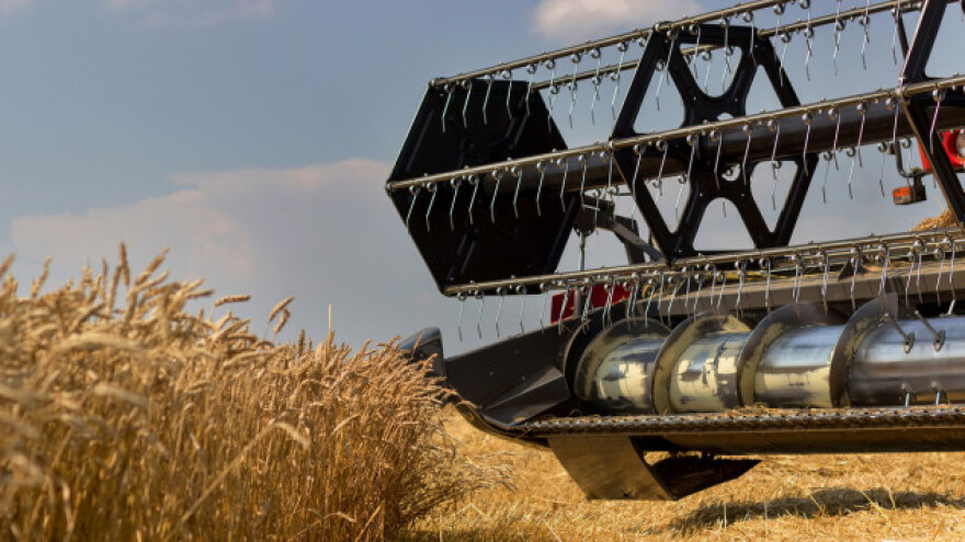 Jak urod pšenice, svi se klade na Rusiju