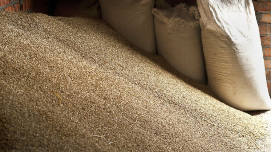 Cena pšenice ponovo u padu