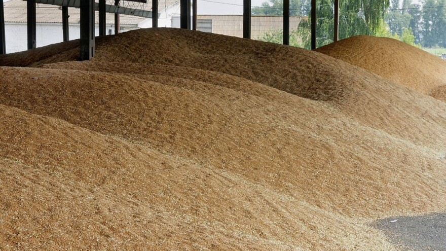 Produktna berza: Pšenica dostigla maksimalnu cenu od 24,50 dinara
