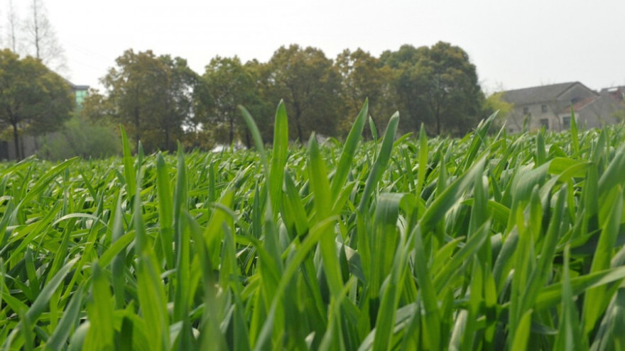 Povoljni uslovi za jare kulture