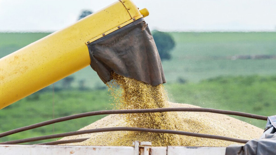 Očekuju se manji prinosi kukuruza u EU