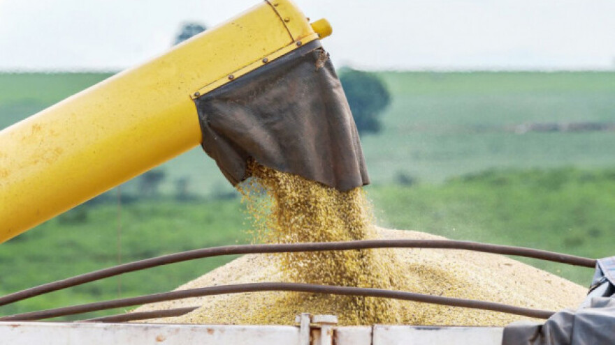 Očekuju se manji prinosi kukuruza u EU